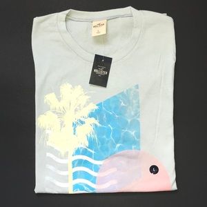 Hollister t-shirt (NWT)